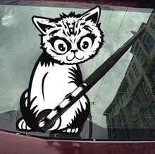 Rear Window Sticker: Cat Sticker