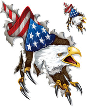 Left & Right Shred Eagle Decal Set