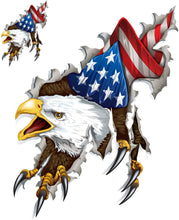 Left & Right Shred Eagle Decal Set
