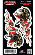 Race Skull Canada - Mini Decal