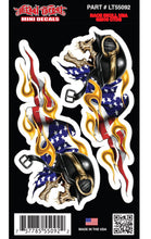 Race Skull USA - Mini Decal