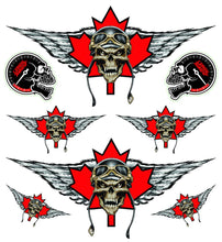 Flying Canada Skull